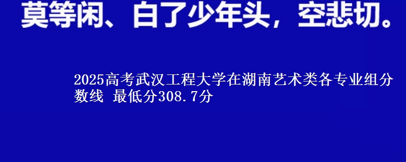 2025年武汉工程大学在湖南艺术类各专业组分数线 最低分308.7分