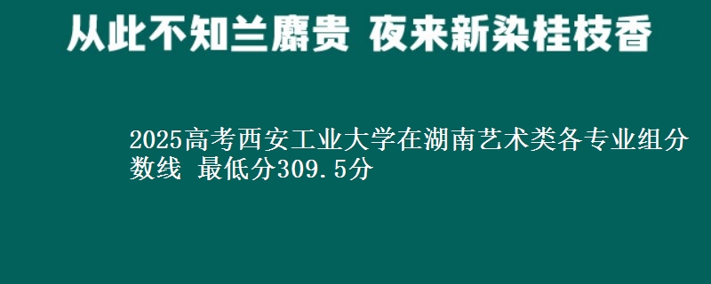 2025年西安工业大学在湖南艺术类各专业组分数线 最低分309.5分