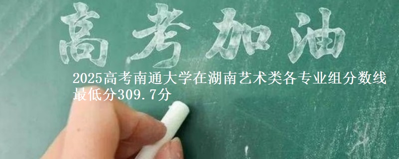 2025年南通大学在湖南艺术类各专业组分数线 最低分309.7分