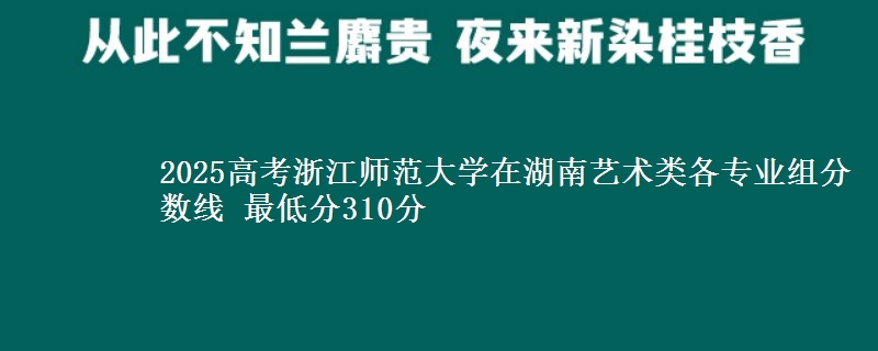 2025年浙江师范大学在湖南艺术类各专业组分数线 最低分310分