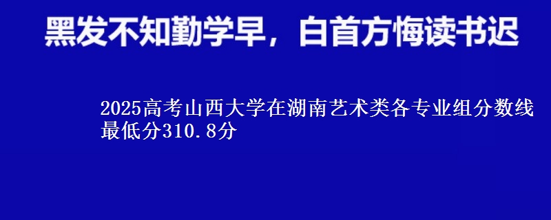 2025年山西大学在湖南艺术类各专业组分数线 最低分310.8分
