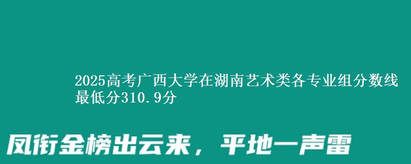 2025年广西大学在湖南艺术类各专业组分数线 最低分310.9分