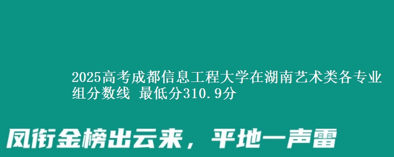 2025年成都信息工程大学在湖南艺术类各专业组分数线 最低分310.9分