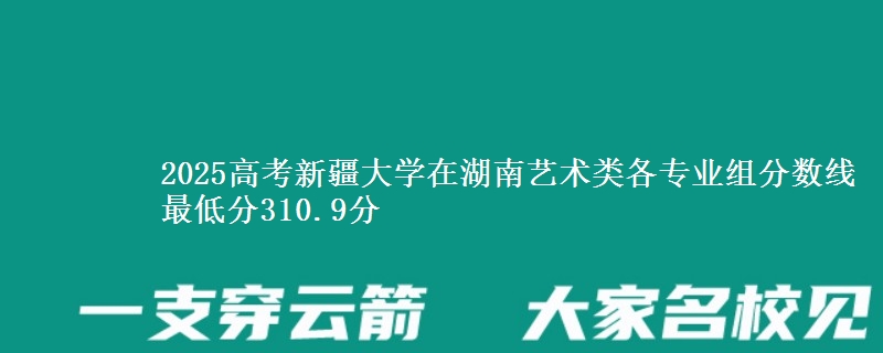 2025年新疆大学在湖南艺术类各专业组分数线 最低分310.9分