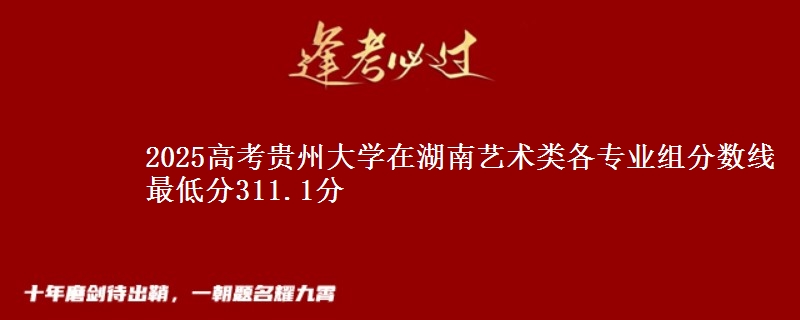 2025年贵州大学在湖南艺术类各专业组分数线 最低分311.1分