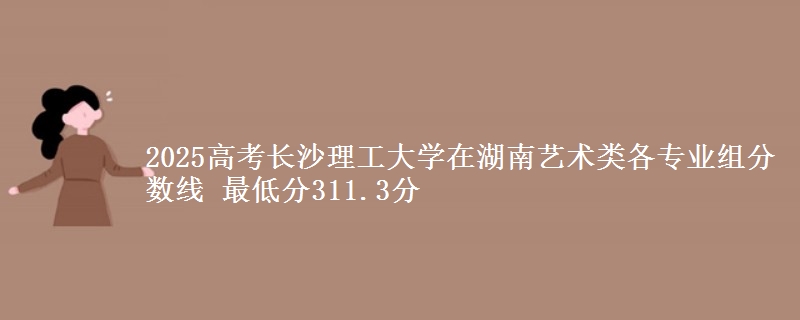 2025年长沙理工大学在湖南艺术类各专业组分数线 最低分311.3分
