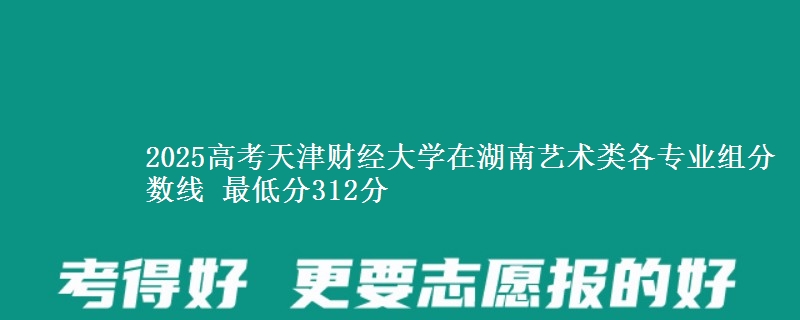 2025年天津财经大学在湖南艺术类各专业组分数线 最低分312分