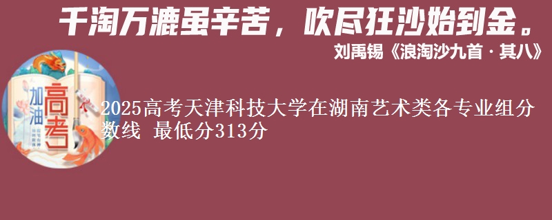2025年天津科技大学在湖南艺术类各专业组分数线 最低分313分