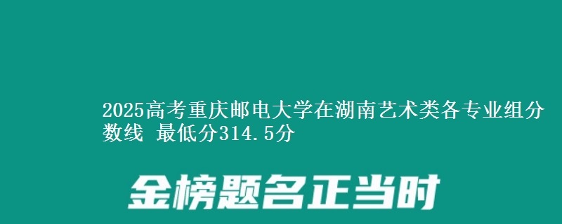2025年重庆邮电大学在湖南艺术类各专业组分数线 最低分314.5分