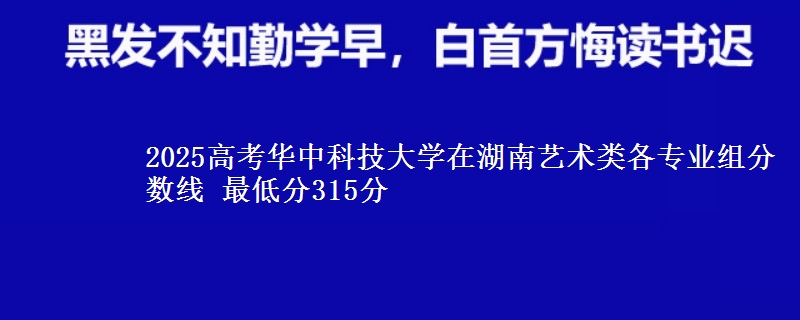 2025年华中科技大学在湖南艺术类各专业组分数线 最低分315分