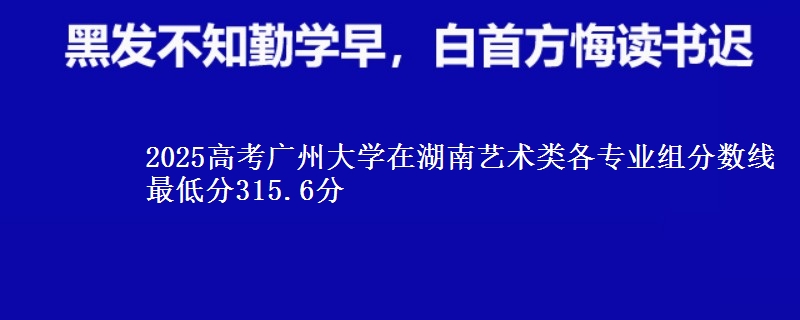 2025年广州大学在湖南艺术类各专业组分数线 最低分315.6分