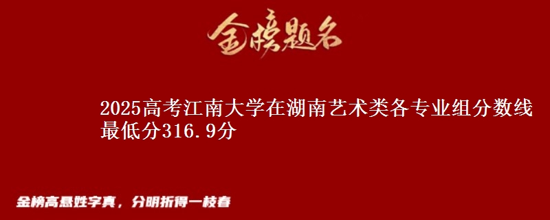 2025年江南大学在湖南艺术类各专业组分数线 最低分316.9分