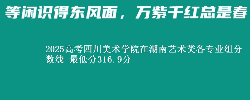 2025年四川美术学院在湖南艺术类各专业组分数线 最低分316.9分