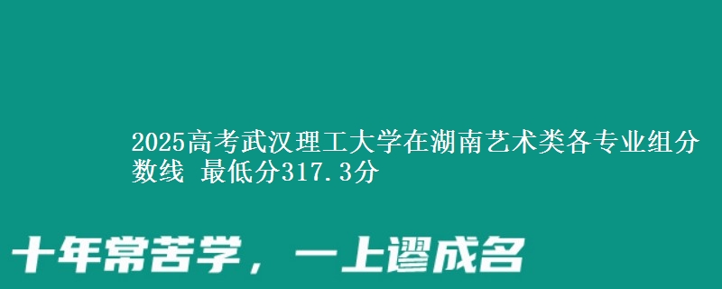2025年武汉理工大学在湖南艺术类各专业组分数线 最低分317.3分