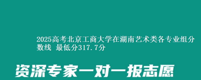 2025年北京工商大学在湖南艺术类各专业组分数线 最低分317.7分