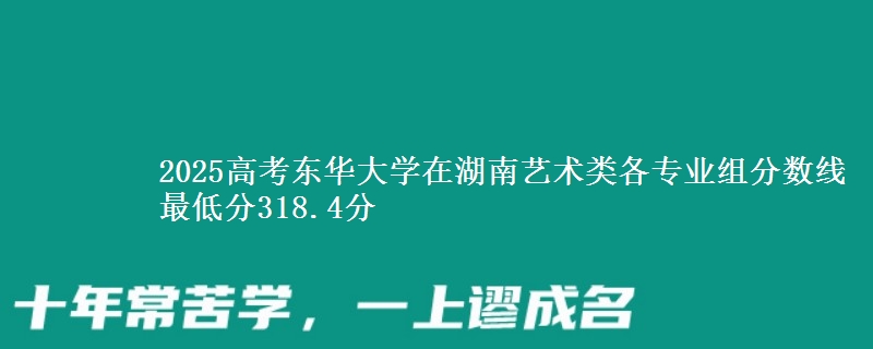 2025年东华大学在湖南艺术类各专业组分数线 最低分318.4分