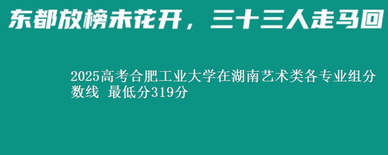 2025年合肥工业大学在湖南艺术类各专业组分数线 最低分319分