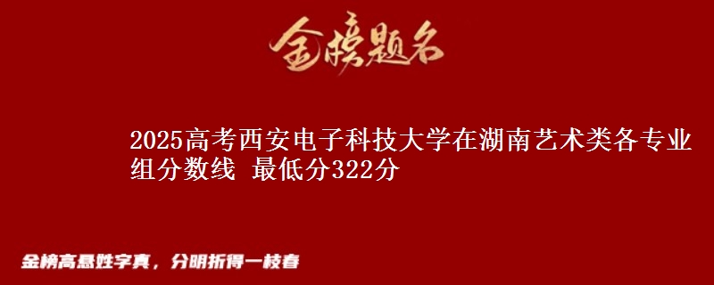 2025年西安电子科技大学在湖南艺术类各专业组分数线 最低分322分