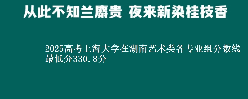 2025年上海大学在湖南艺术类各专业组分数线 最低分330.8分