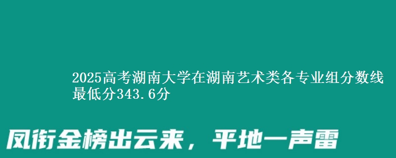 2025年湖南大学在湖南艺术类各专业组分数线 最低分343.6分
