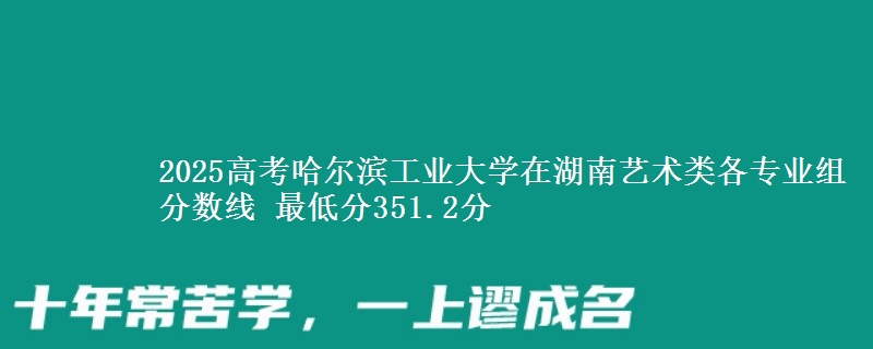 2025高考哈尔滨工业大学在湖南艺术类各专业组分数线 最低分351.2分