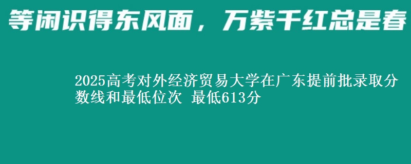 2025年对外经济贸易大学在广东提前批录取分数线和最低位次 最低613分