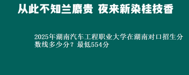 2025年湖南汽车工程职业大学在湖南对口招生分数线多少分？最低554分