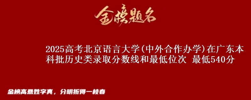 2025年北京语言大学(中外合作办学)在广东历史类录取分数线和最低位次 最低540分