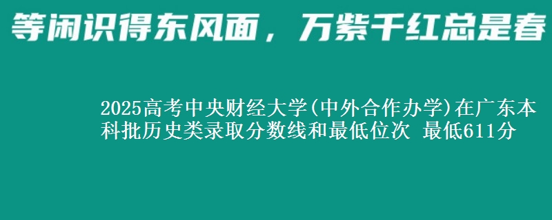 2025年中央财经大学(中外合作办学)在广东历史类录取分数线和最低位次 最低611分