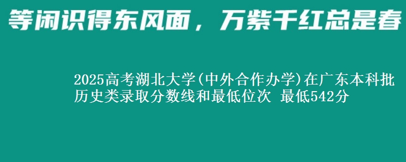 2025年湖北大学(中外合作办学)在广东历史类录取分数线和最低位次 最低542分