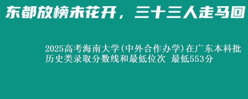 2025年海南大学(中外合作办学)在广东历史类录取分数线和最低位次 最低553分