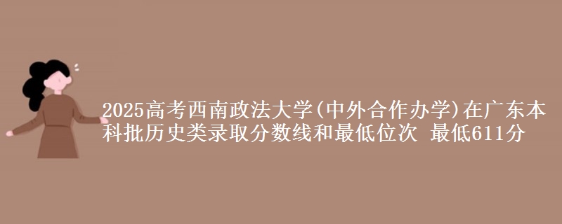 2025年西南政法大学(中外合作办学)在广东历史类录取分数线和最低位次 最低611分