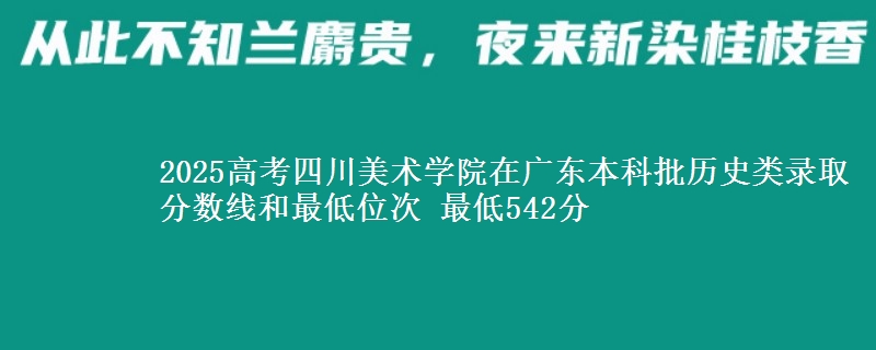 2025年四川美术学院在广东历史类录取分数线和最低位次 最低542分