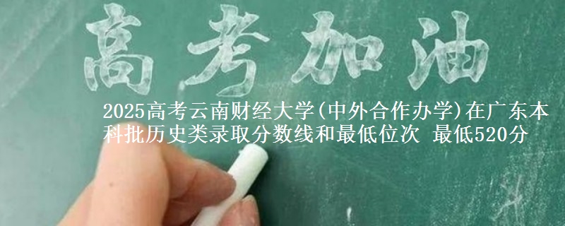 2025年云南财经大学(中外合作办学)在广东历史类录取分数线和最低位次 最低520分