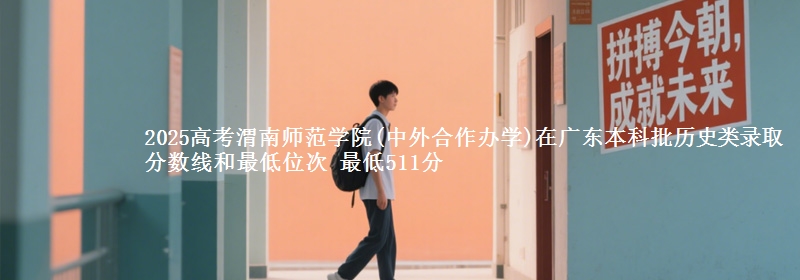 2025年渭南师范学院(中外合作办学)在广东历史类录取分数线和最低位次 最低511分