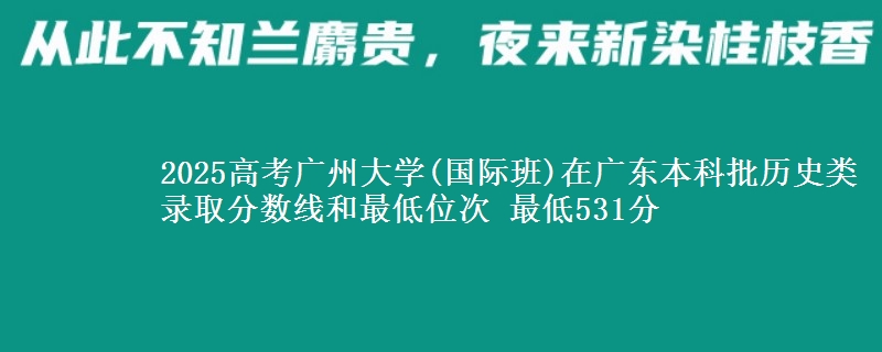 2025年广州大学(国际班)在广东历史类录取分数线和最低位次 最低531分