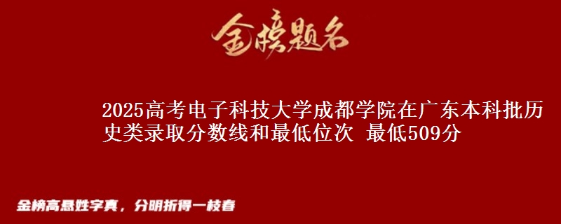 2025年电子科技大学成都学院在广东历史类录取分数线和最低位次 最低509分