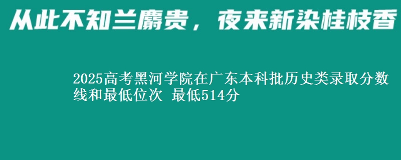 2025年黑河学院在广东历史类录取分数线和最低位次 最低514分