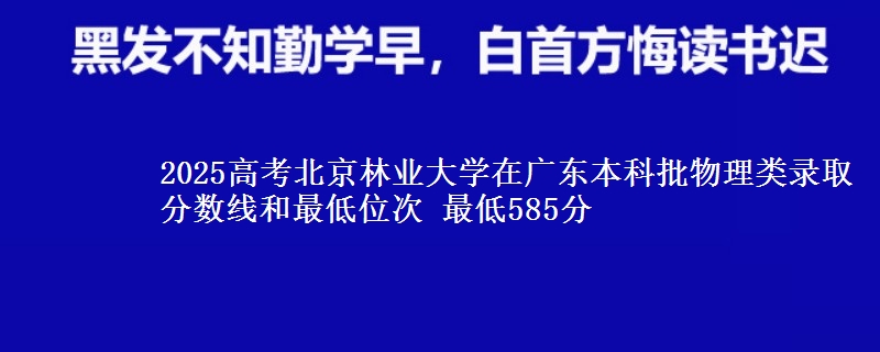 2025年北京林业大学在广东物理类录取分数线和最低位次 最低585分