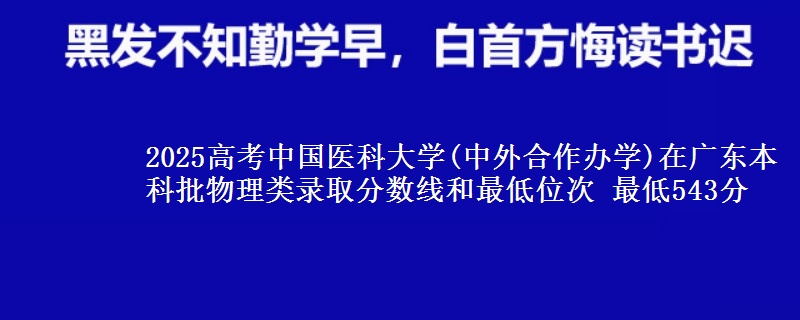 2025年中国医科大学(中外合作办学)在广东物理类录取分数线和最低位次 最低543分