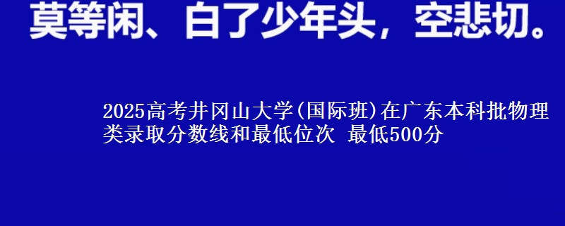 2025年井冈山大学(国际班)在广东物理类录取分数线和最低位次 最低500分