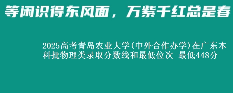 2025年青岛农业大学(中外合作办学)在广东物理类录取分数线和最低位次 最低448分