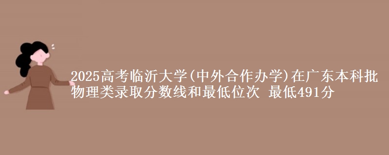2025年临沂大学(中外合作办学)在广东物理类录取分数线和最低位次 最低491分