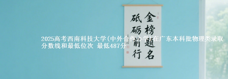 2025高考西南科技大学(中外合作办学)在广东本科批物理类录取分数线和最低位次 最低487分