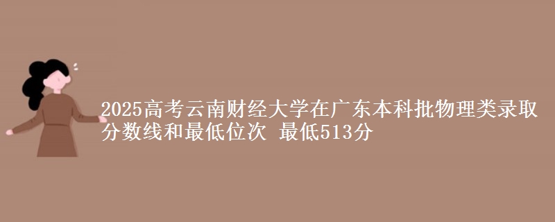 2025高考云南财经大学在广东本科批物理类录取分数线和最低位次 最低513分