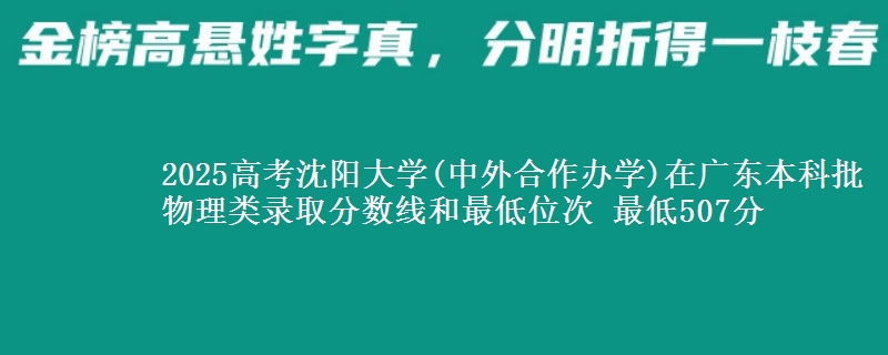 2025高考沈阳大学(中外合作办学)在广东本科批物理类录取分数线和最低位次 最低507分