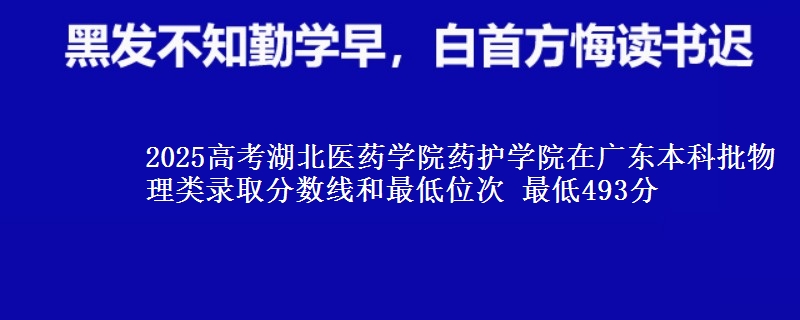 2025高考湖北医药学院药护学院在广东本科批物理类录取分数线和最低位次 最低493分