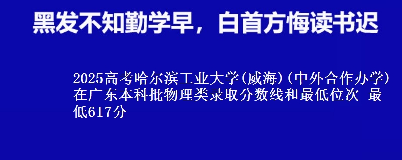 2025高考哈尔滨工业大学(威海)(中外合作办学)在广东本科批物理类录取分数线和最低位次 最低617分