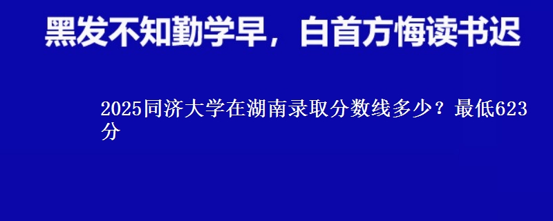 2025同济大学在湖南录取分数线多少？最低623分