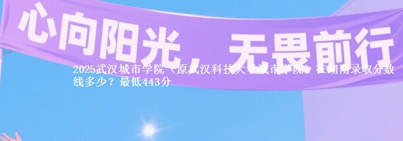 2025武汉城市学院(原武汉科技大学城市学院)在湖南录取分数线多少？最低443分